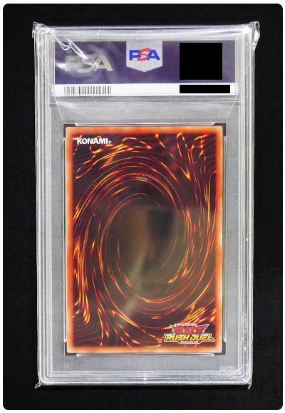 card/card100362402_2.jpg