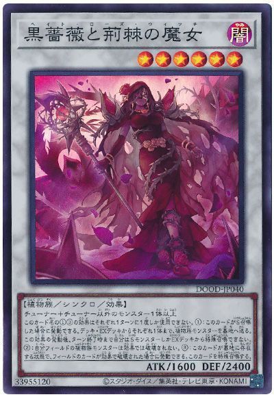 黒薔薇と荊棘の魔女