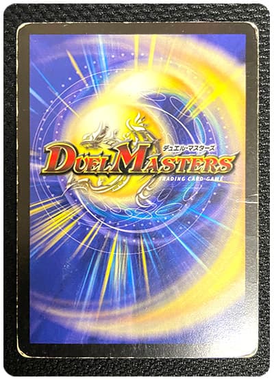 card/card100366407_2.jpg