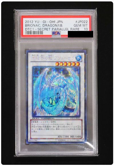 【PSA10】氷結界の龍 ブリューナク