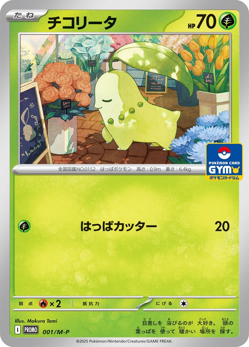 ポケモンカードe⚡チコリータ チコリータ | ポケモンカードe スターターパック(005/029)