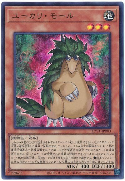 ユーカリ・モール