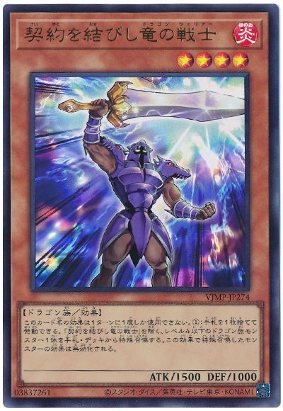 契約を結びし竜の戦士