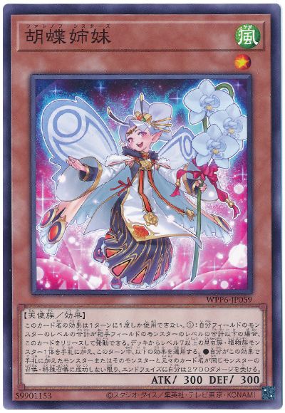 胡蝶姉妹
