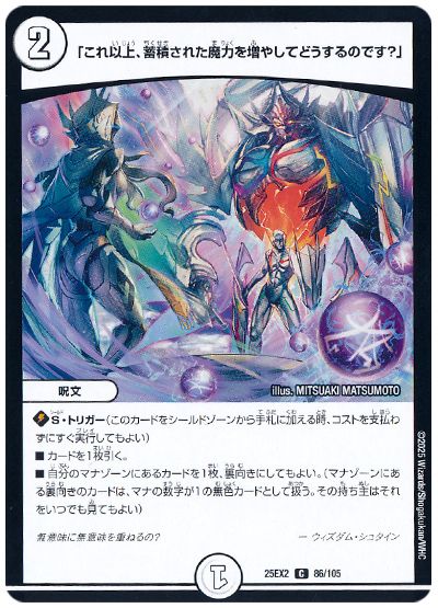 「これ以上、蓄積された魔力を増やしてどうするのです?」