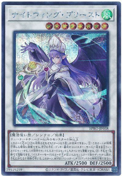 ナイトウィング・プリースト