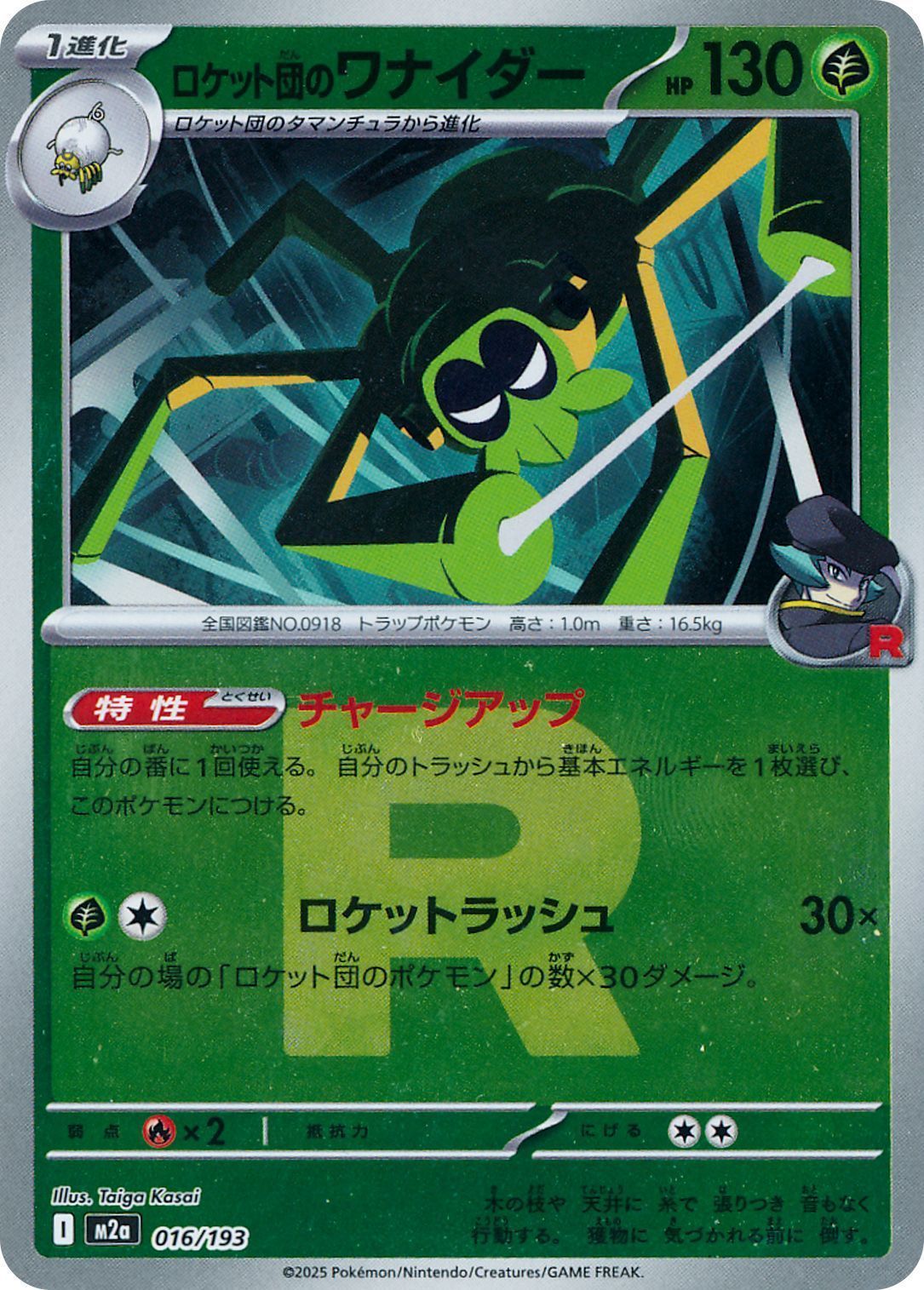 ロケット団のワナイダー