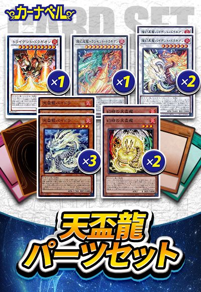 天盃龍パーツセット