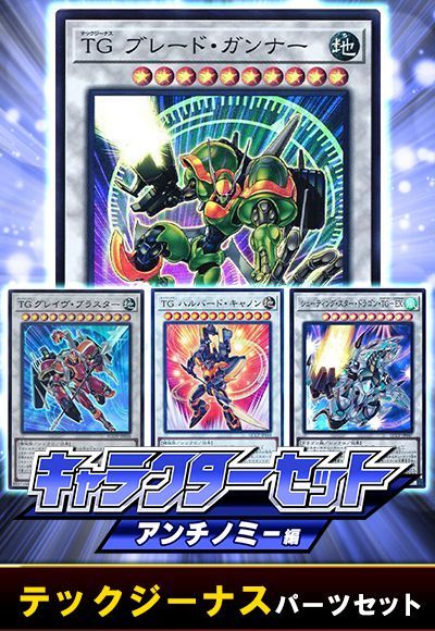 (アンチノミー)テックジーナスパーツセット