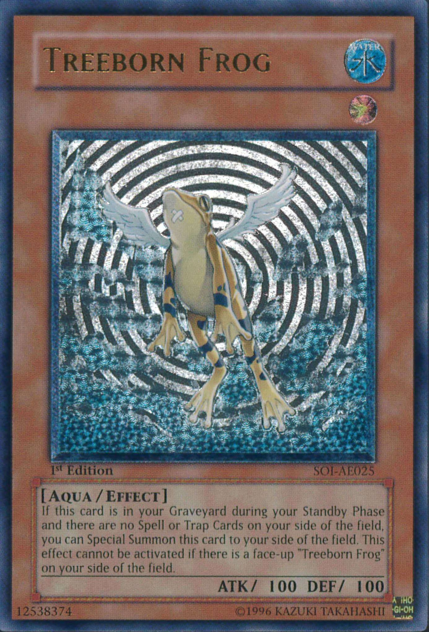 黄泉ガエル(アジア版)(個体別販売:251212_1)