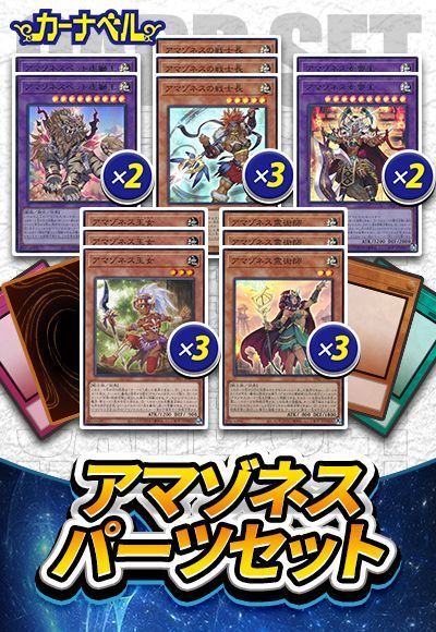 アマゾネスパーツセット