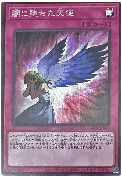 闇に堕ちた天使