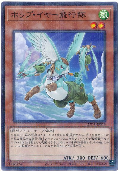 ホップ・イヤー飛行隊