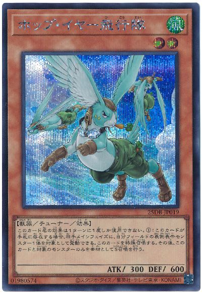 ホップ・イヤー飛行隊