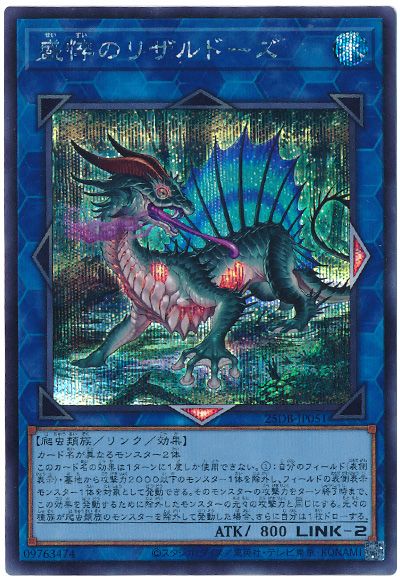 盛悴のリザルドーズ