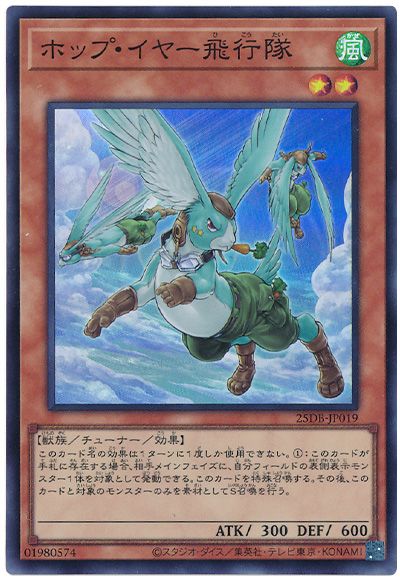 ホップ・イヤー飛行隊