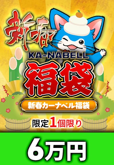 【予約販売】新春福袋～6万～