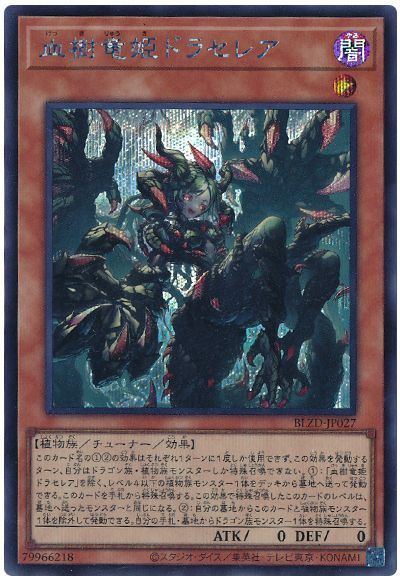 血樹竜姫ドラセレア