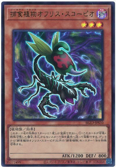 捕食植物オフリス・スコーピオ