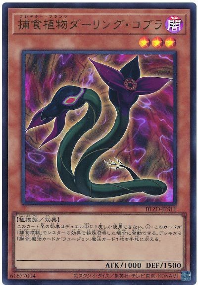 捕食植物ダーリング・コブラ