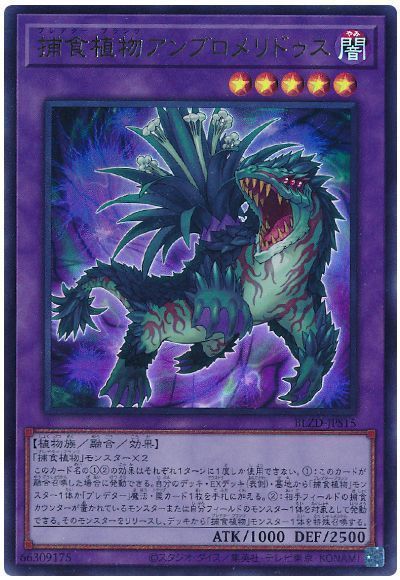 捕食植物アンブロメリドゥス