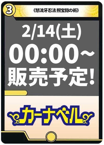 怒流牙忍法 照宝闘の術