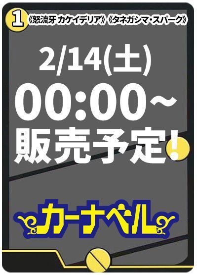 怒流牙 カケイデリア/タネガシマ・スパーク