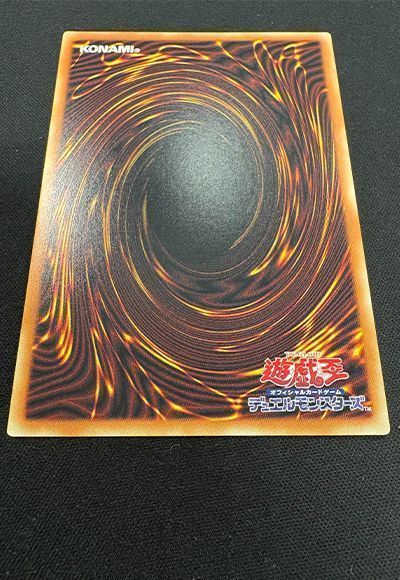 card/card100404981_5.jpg