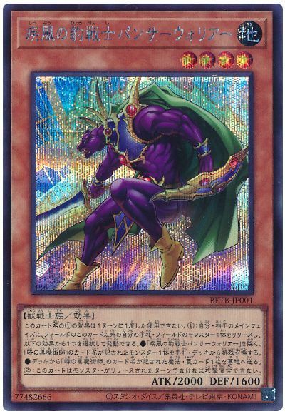 疾風の豹戦士パンサーウォリアー