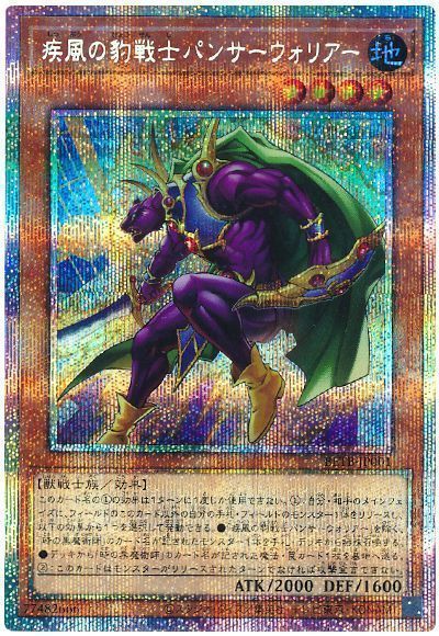 疾風の豹戦士パンサーウォリアー