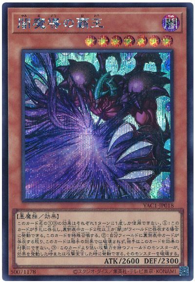 闇魔導の覇王