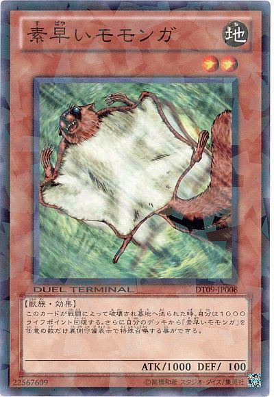 素早いモモンガ