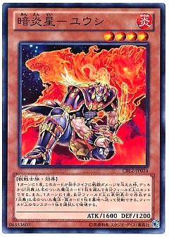 【1209環境デッキ】炎星