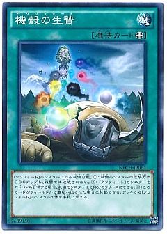 【XCG】クリフォート