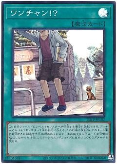 遊戯王】遊戯王のカード通販 - カーナベル