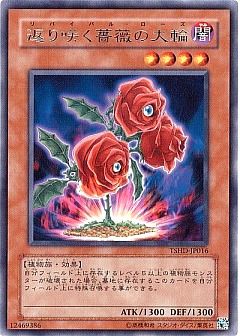 遊戯王レベル1カード（バラ売り可） コナミデジタルエンタテインメント 【バラ 1パック】遊戯王OCG