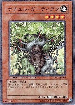 【1980環境デッキ】イビルセラ・ルテア