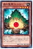 森の聖霊 エーコ
