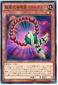 超重武者装留マカルガエシ