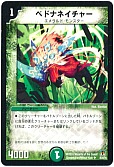 ペドナネイチャー