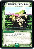 樹界を守るパラダイス・ホーン