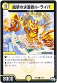 嵐撃の求道者ル・ライバ
