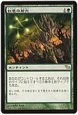 虹色の前兆