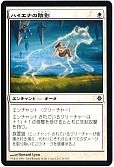 ハイエナの陰影