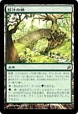 苔汁の橋