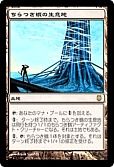 ちらつき蛾の生息地