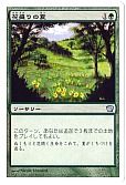花盛りの夏