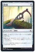 骨の鋸