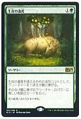 生命の遺産