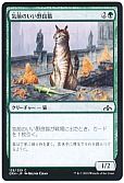 気前のいい野良猫